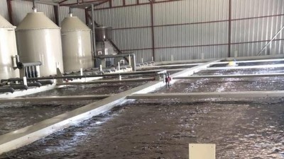 養殖污水為何難處理，用什么工藝?
