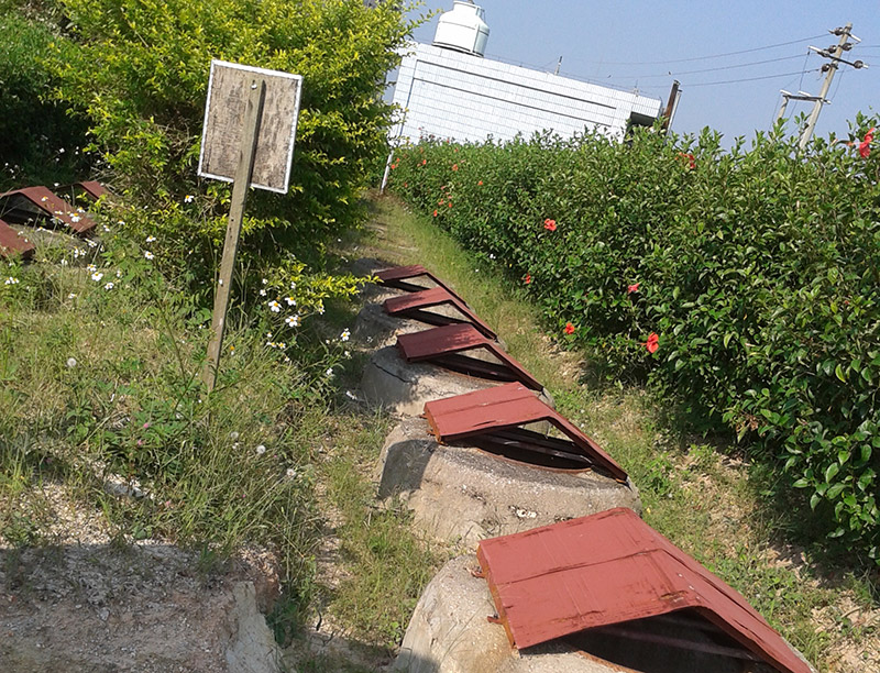 寶島公司生活污水處理案例